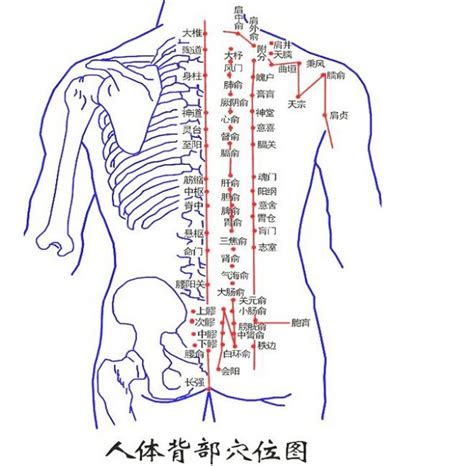 背部中間有痣|背部痣圖相詳解